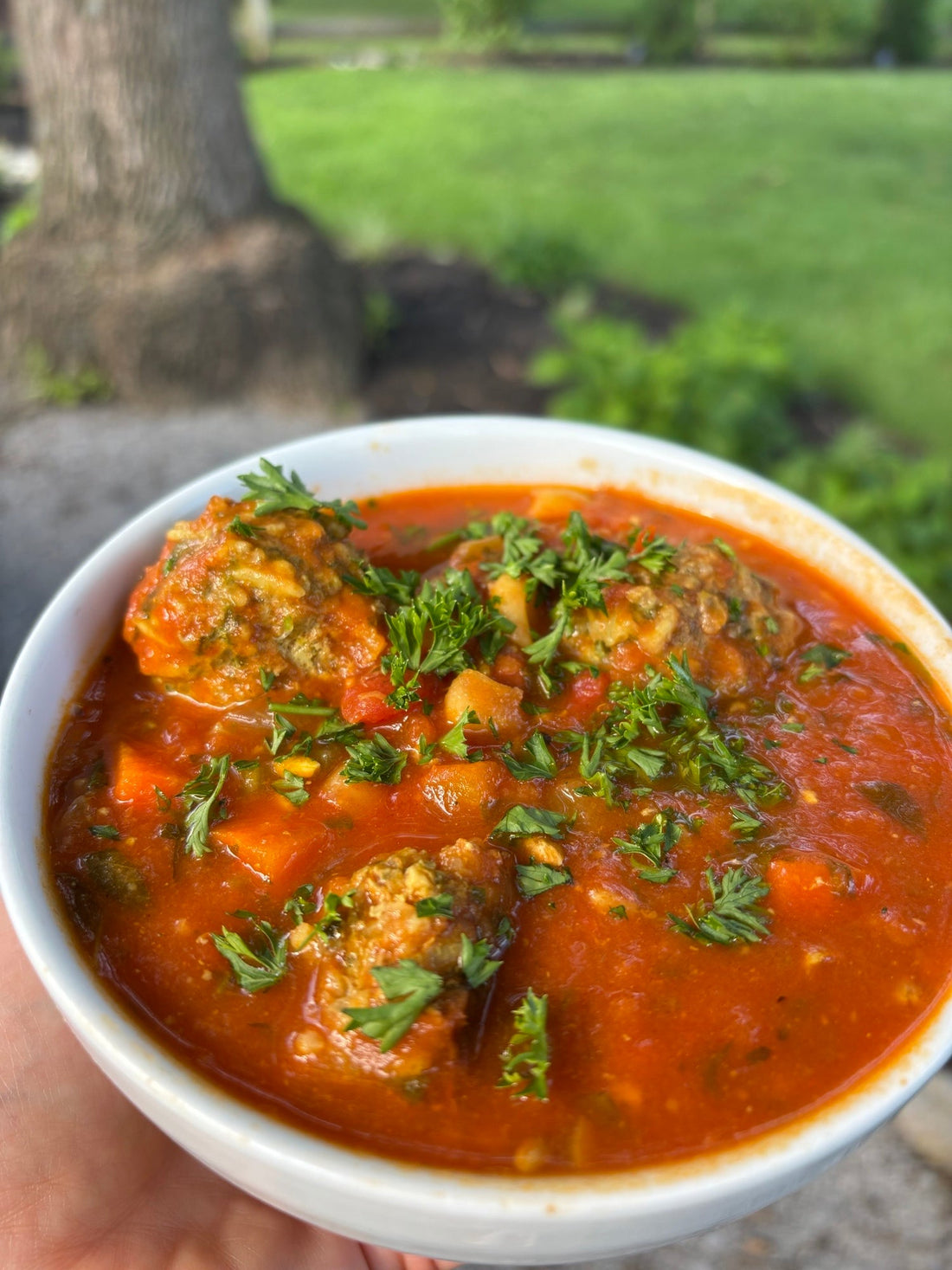 Week 289: Herbed Rice Meatballs in a Lemon Tomato Soup